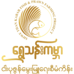 SHWE-THAN-KABAR-scaled-1-1.png